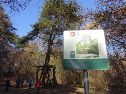 Relacja z wycieczki: Pińczów - Grochowiska - Las Winiarski - Busko Zdrój (16.02.2019)