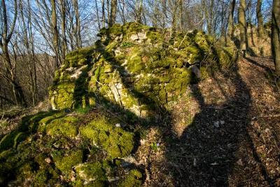 Ruiny Zamku Szumsko w Rembowie. Źródło: http://roadtripbus.pl