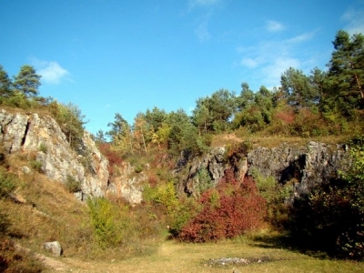 Rezerwat przyrody Góra Zelejowa