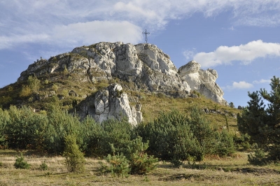 Widok na wzgórze Biakło, sąsiadujące z rezerwatem Sokole Góry.