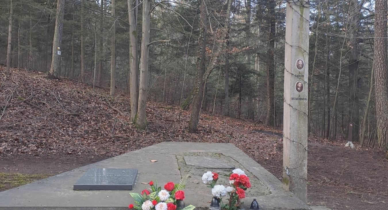 Relacja z wędrówki wigilijnej Klubu Turystów Pieszych PTTK Przygoda w dniu 